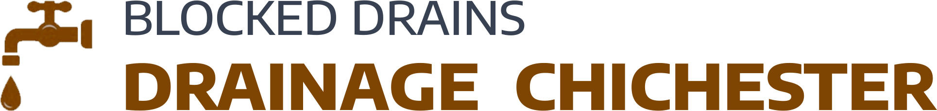 website logo